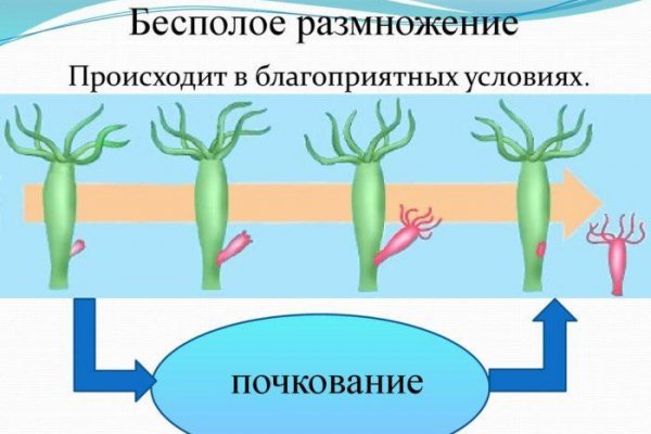 Каталог даркнет сайтов